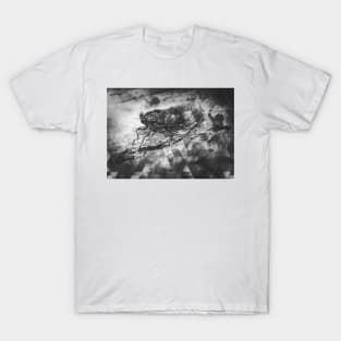 LURKING IN THE TREES T-Shirt